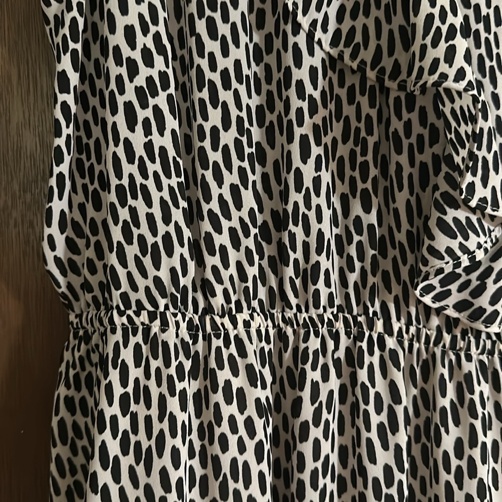 Sleeveless Black and White Dress - Picture 4 of 5